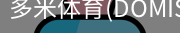 多米体育官网